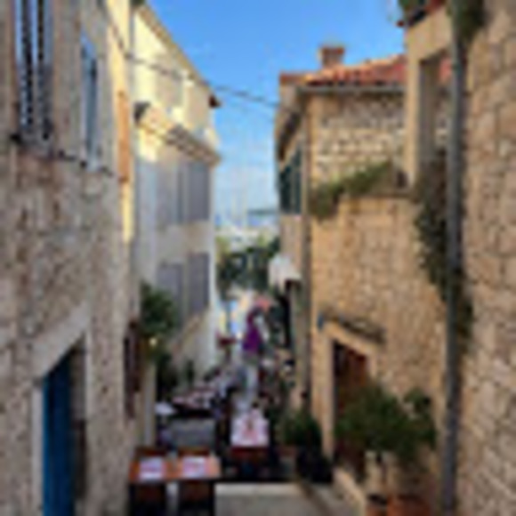 Meet your Posher, Rylee - Picture 1 of 1